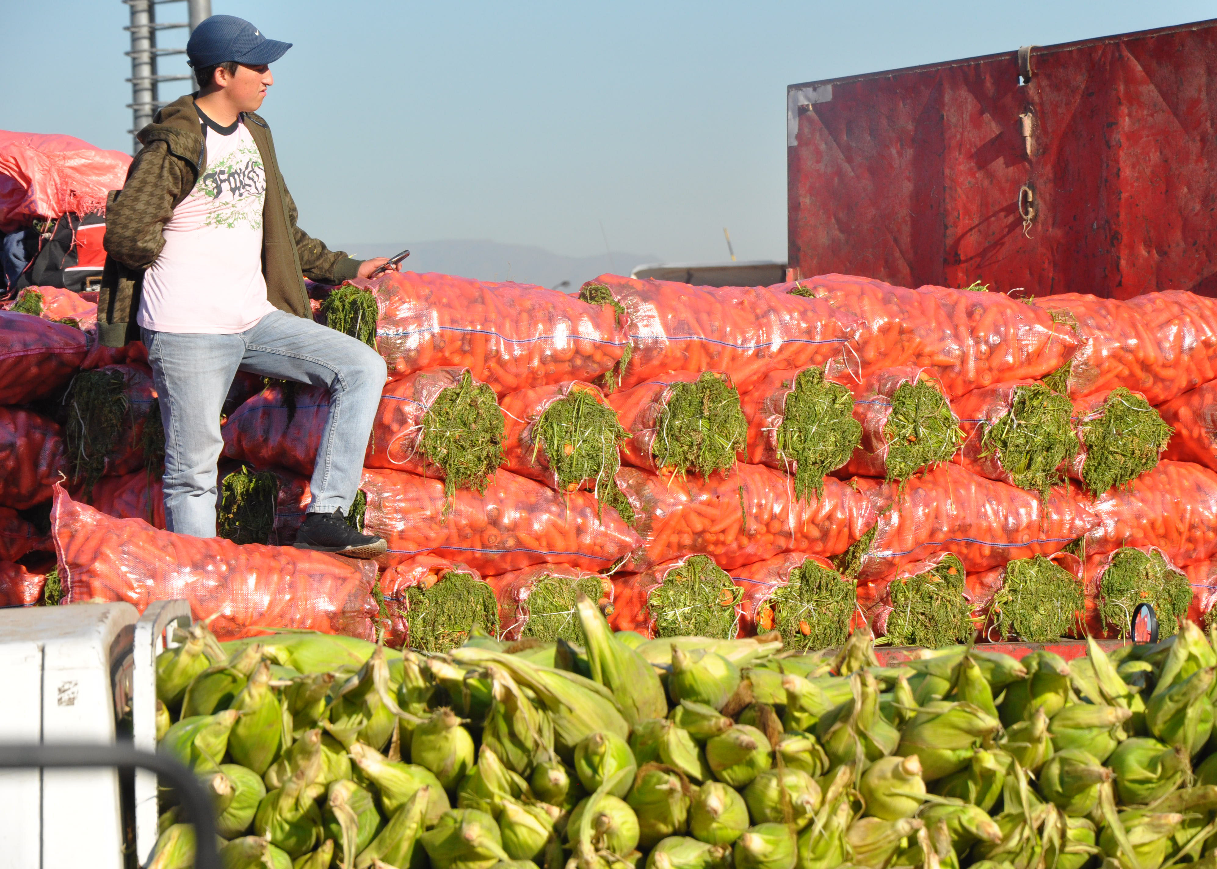 Developing Leaders with an Agricultural Worldview